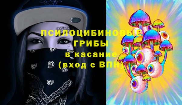 мескалин Елабуга