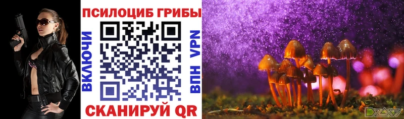 Псилоцибиновые грибы Cubensis  где продают   Кохма 