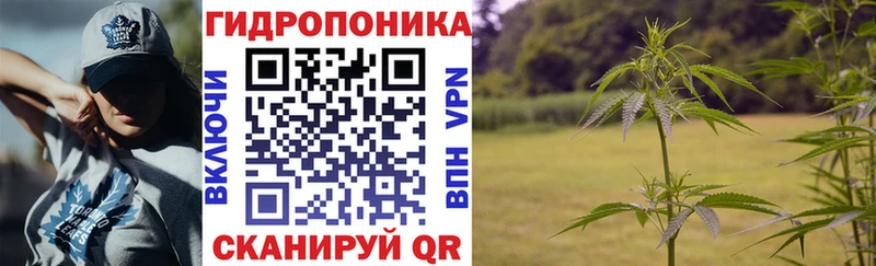 Конопля семена  даркнет сайт  Кохма 
